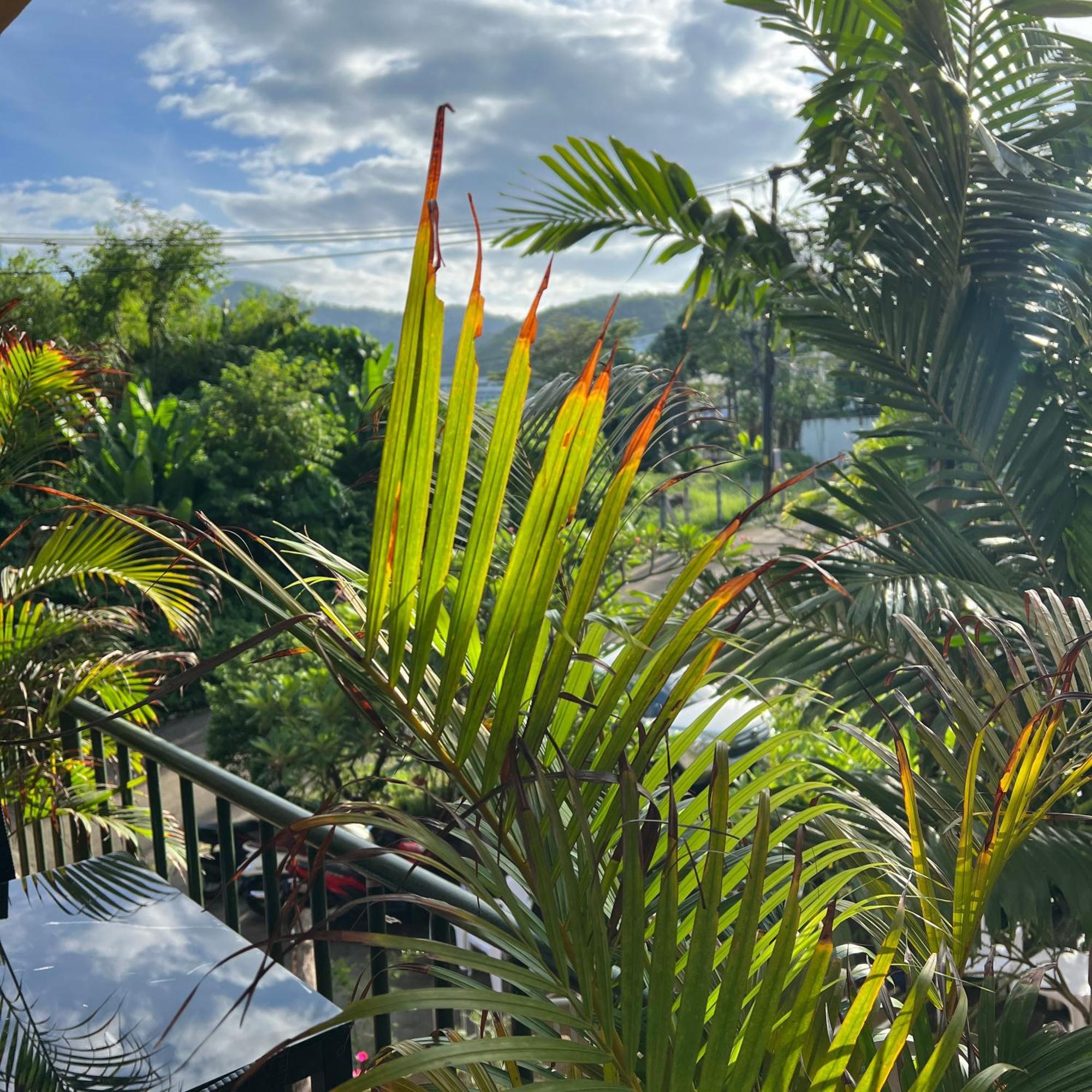 Kata Villa Merit Hill Bungalows Karon المظهر الخارجي الصورة